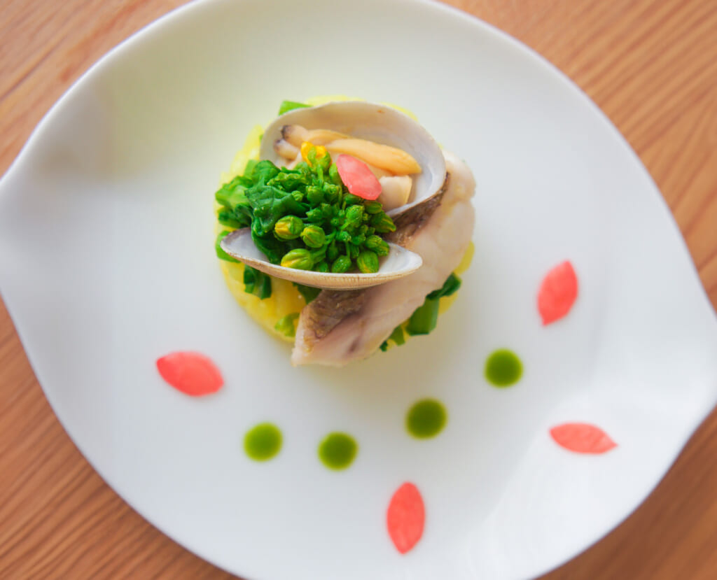 上品なうま味と高たんぱく！祝いの席だけじゃない万能白身魚～鯛～