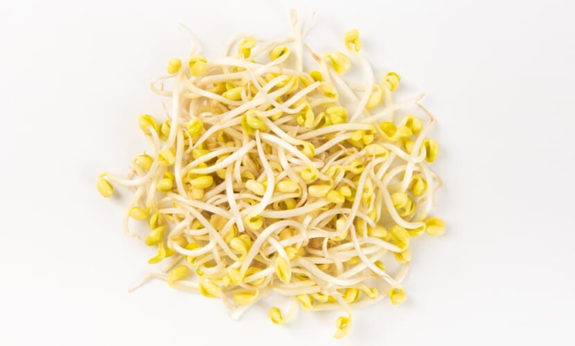 Soybean,Sprouts,Isolated,On,White,Background