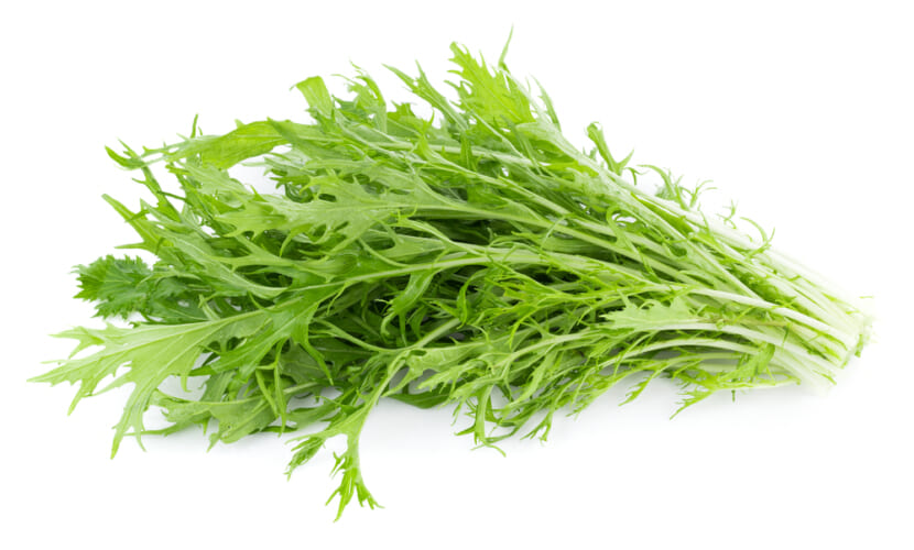 Mizuna,Lettuce,Isolated,Japanese,Mustard,,Vegetable,Salad,For,Good,Health