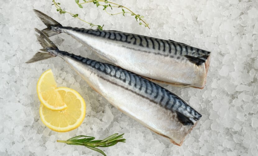 Chilled,Mackerel,Fish,On,Natural,Ice