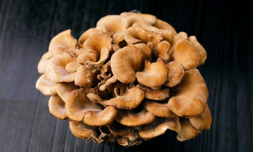 Japanese,Maitake,Mushrooms,On,Black,Background