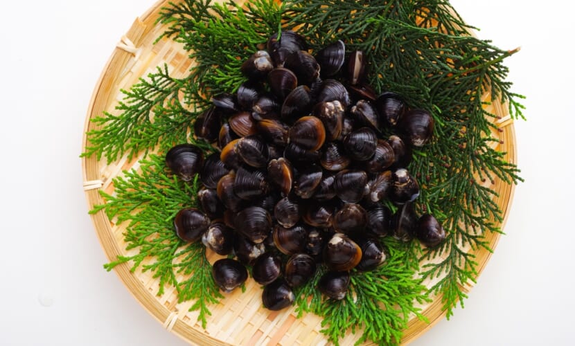 Fresh,Freshwater,Clams,On,A,Bamboo,Basket