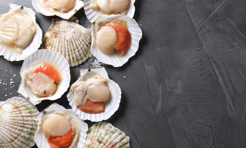 Fresh,Raw,Scallops,On,Grey,Table,,Flat,Lay.,Space,For