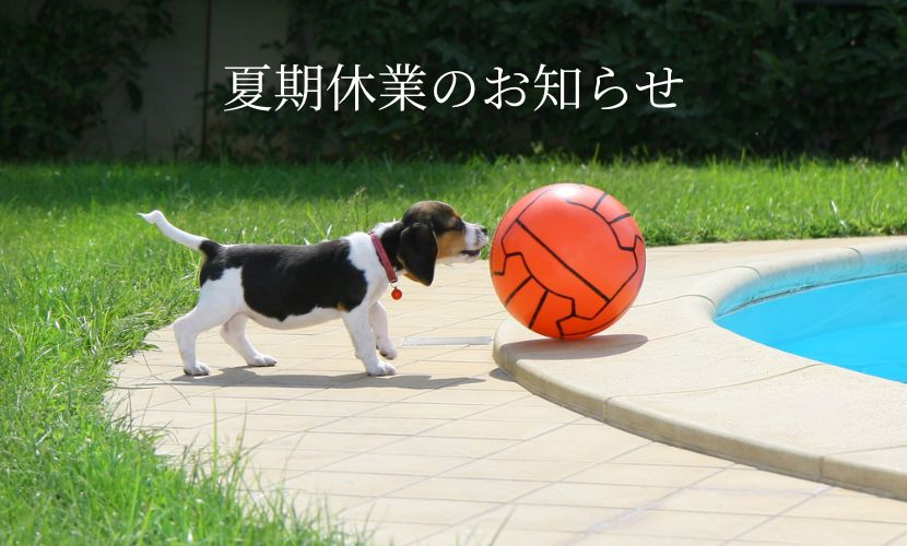 夏期休業のお知らせ (1)